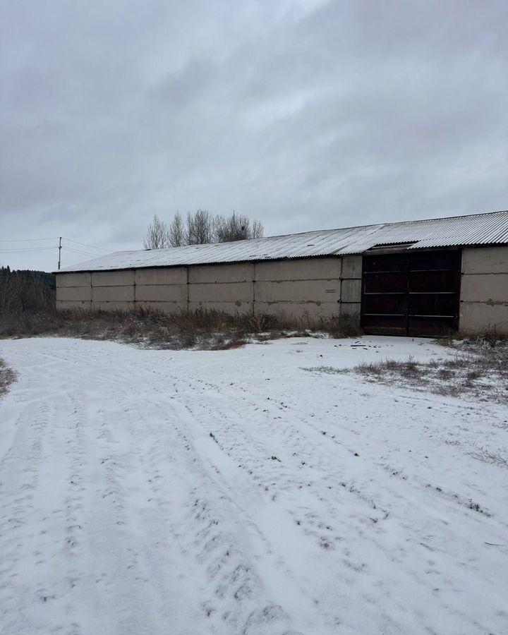 производственные, складские р-н Завьяловский д Коньки 31, Завьялово фото 3