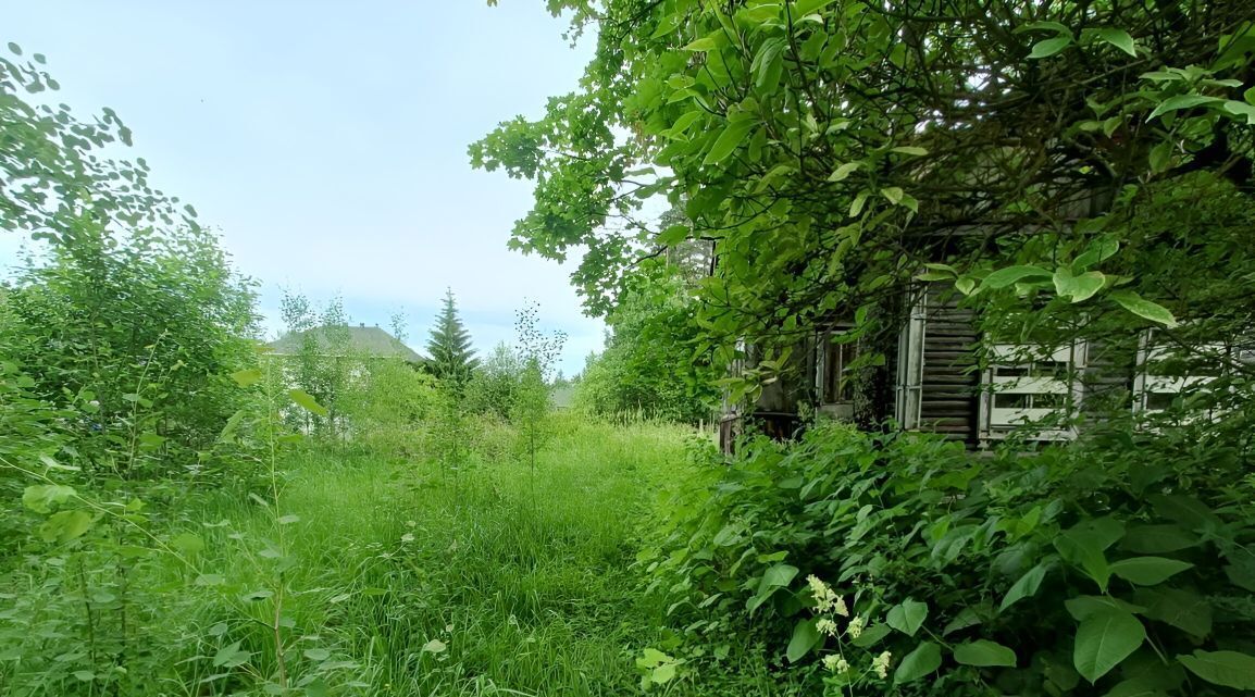 земля р-н Гатчинский Вырица городской поселок фото 11