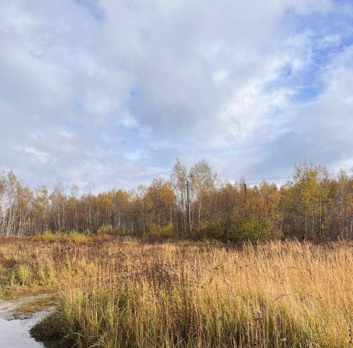 офис городской округ Шатура п Радовицкий фото 2