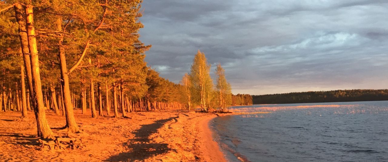 дом р-н Выборгский п Красносельское Олимпиец СНТ, 120 фото 1