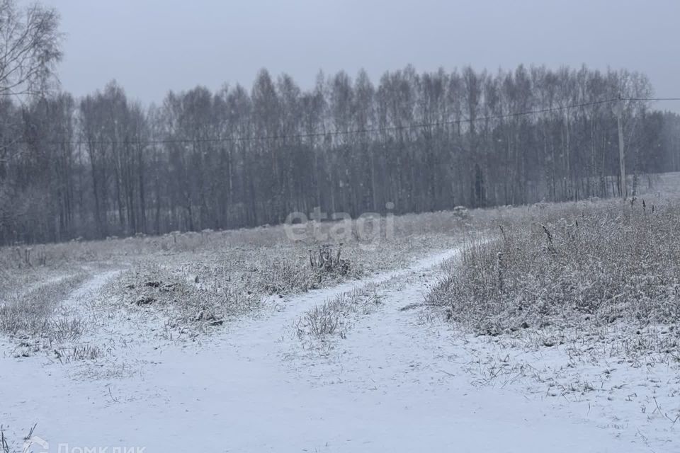 земля р-н Балахнинский рп. Гидроторф фото 4