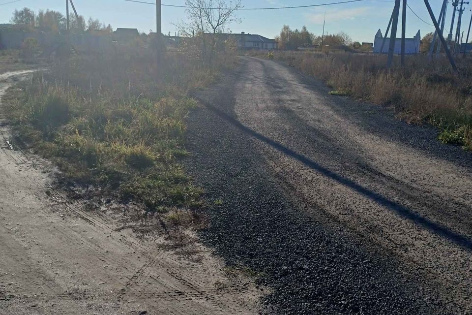 земля Муром городской округ, д. Александровка фото 5