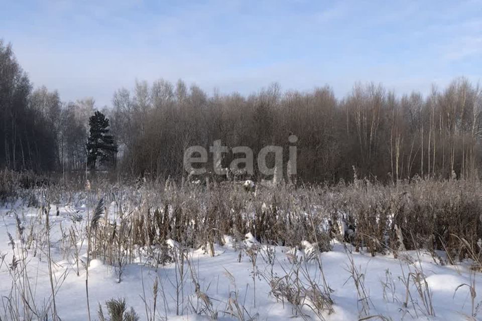 земля г Тюмень снт Липки Тюмень городской округ, Берёзовая улица фото 5