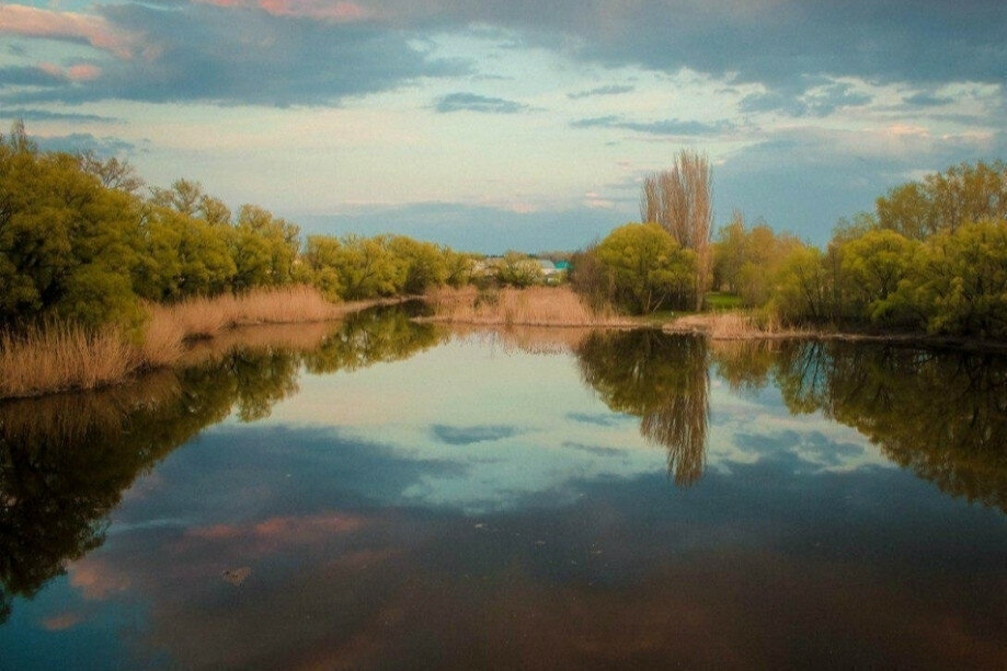 земля р-н Новоусманский с Новая Усмань Пионерская улица, 310 фото 3