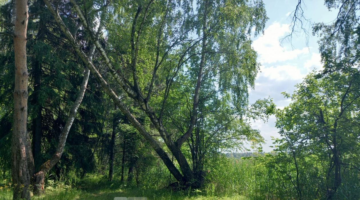 офис городской округ Мытищи д Витенево фото 19