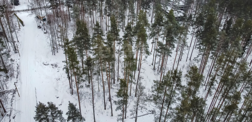 земля р-н Приозерский д Светлое Красноозёрное сельское поселение фото 8