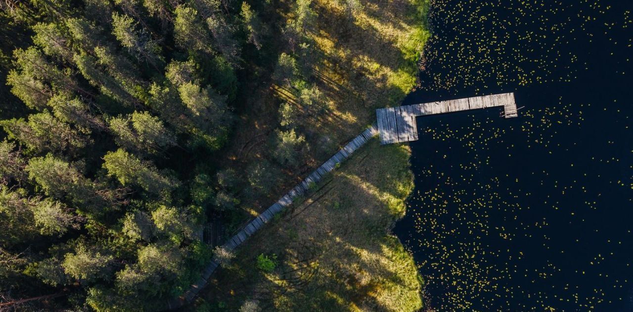 земля р-н Выборгский п Первомайское пос, Сабур-3 СНТ, 24 фото 13