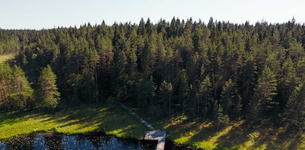 земля р-н Выборгский п Первомайское пос, Сабур-3 СНТ, 24 фото 15