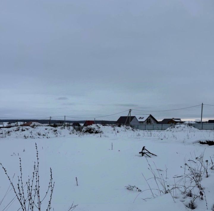 земля р-н Богородский д Высоково ул. Большая Высоковская, 7А фото 15