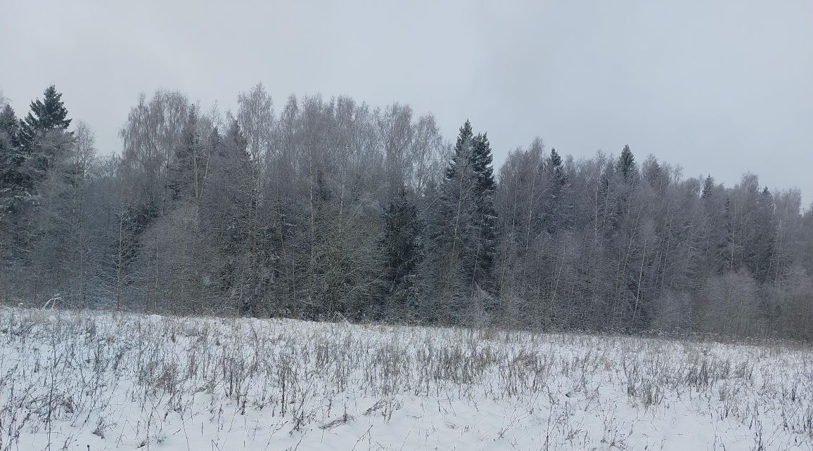 офис городской округ Наро-Фоминский п Новая Ольховка фото 1