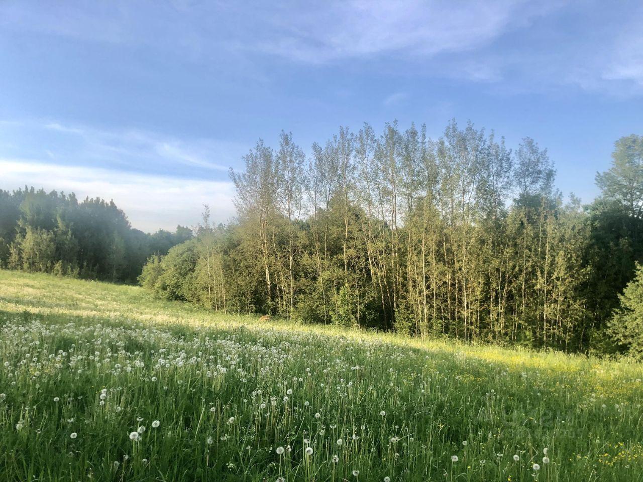 земля городской округ Сергиево-Посадский п Реммаш Родниковая улица фото 3