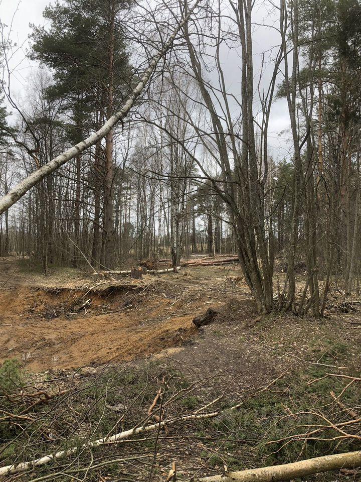 земля г Санкт-Петербург ул Веры Слуцкой Сертоловское городское поселение, Ленинградская область, Всеволожский район фото 13