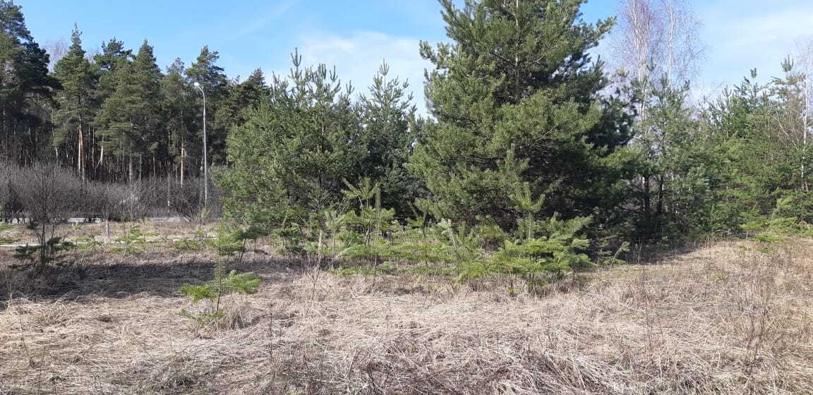 земля городской округ Раменский с Петровское ул Центральная Егорьевское шоссе фото 3