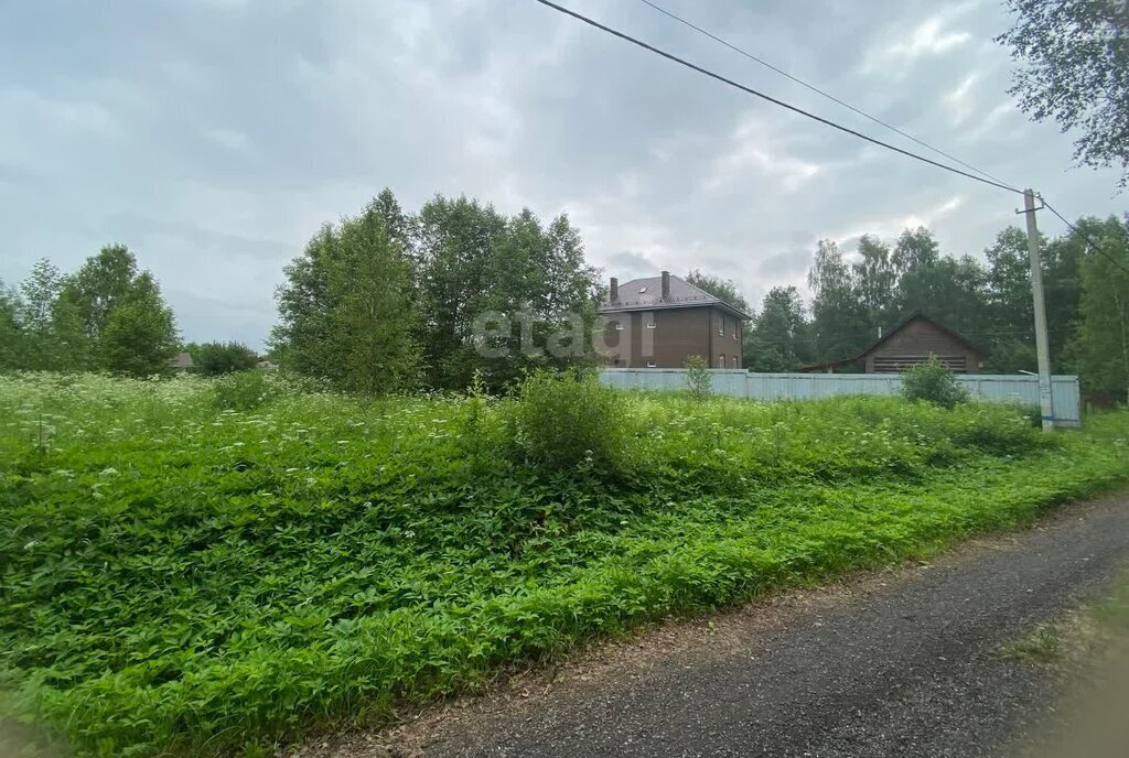 земля городской округ Дмитровский СНТ ТЭС фото 5