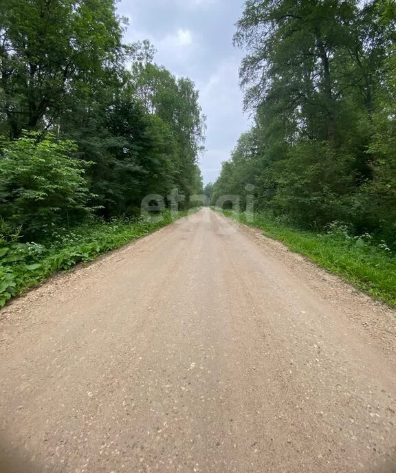 земля городской округ Дмитровский СНТ ТЭС фото 7