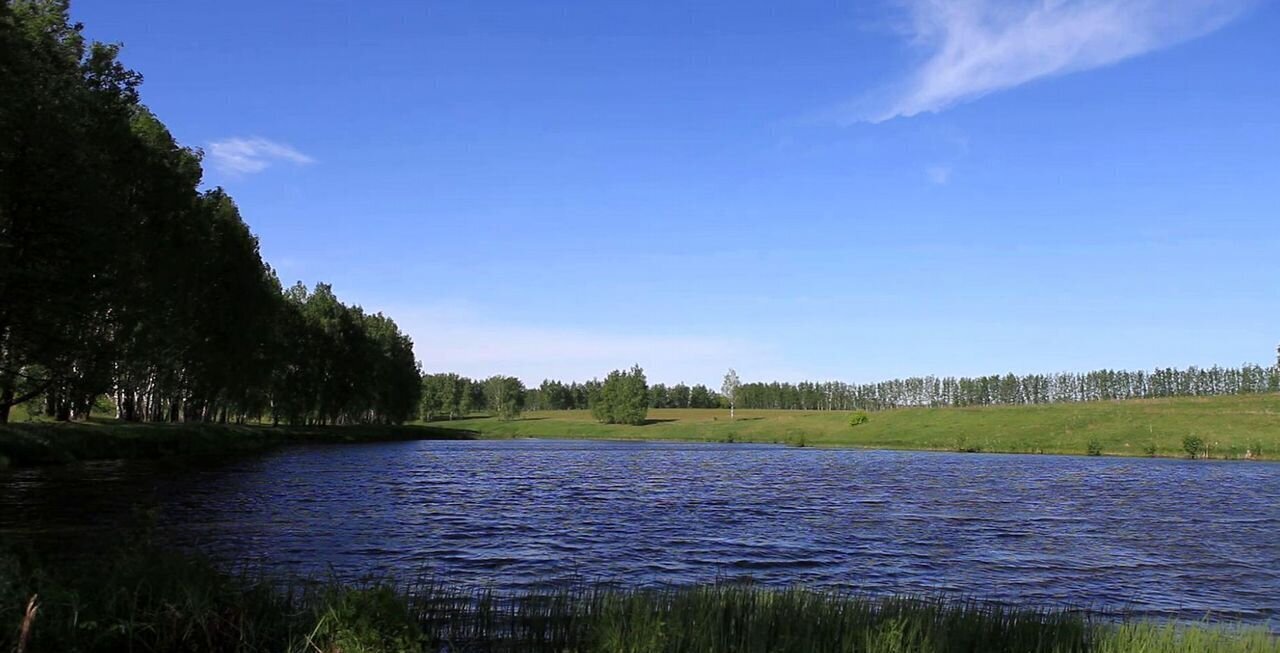 земля городской округ Ступино с Константиновское 50 км, Михнево, Новокаширское шоссе фото 5