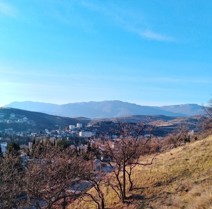 земля г Алушта с Малореченское ул Больничная фото 2
