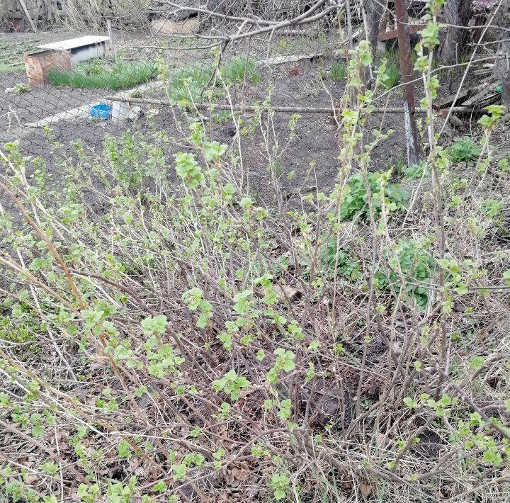 дом г Ульяновск р-н Засвияжский снт Сахаровские мельницы фото 3