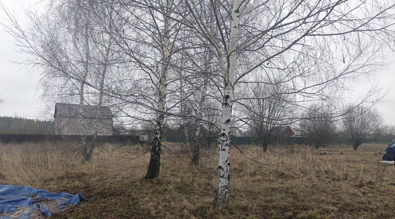 земля городской округ Раменский с Еганово днт Мечта аллея 3-я фото 2