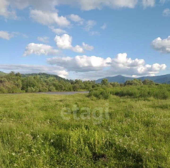 земля р-н Алтайский с Куяган фото 1