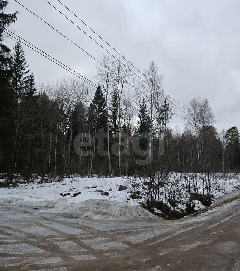 земля городской округ Истра д Горшково 40 км, Истра, Волоколамское шоссе фото 3