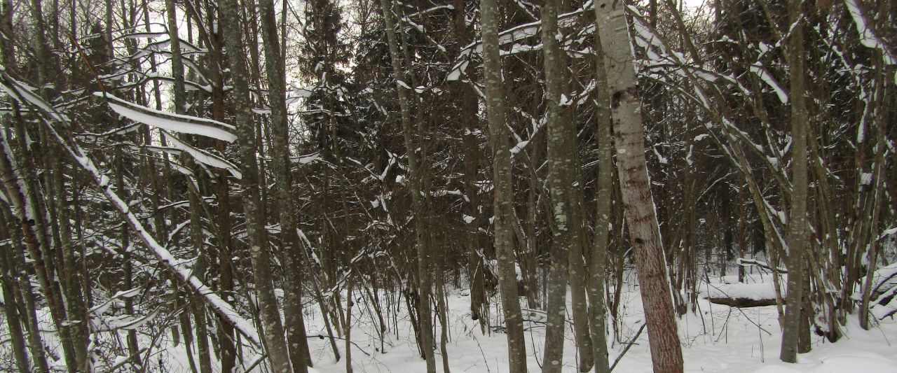 офис городской округ Рузский п детского городка "Дружба" фото 2