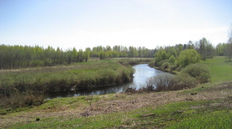 земля р-н Пушкиногорский д Баландино Велейская волость фото 1