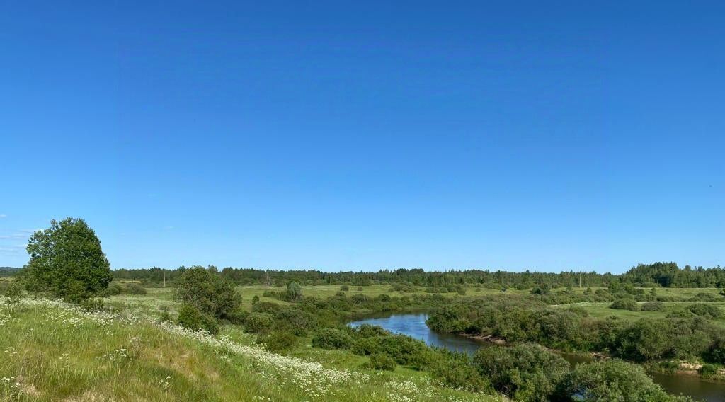 земля р-н Пушкиногорский д Приворот Пушкиногорье городское поселение фото 4