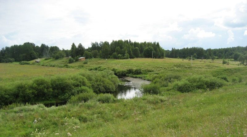 земля р-н Пушкиногорский д Баландино Велейская волость фото 7