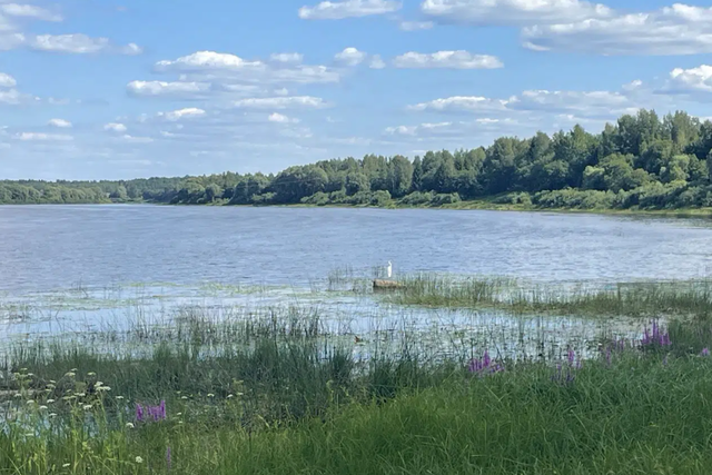 земля деревня Рышево фото