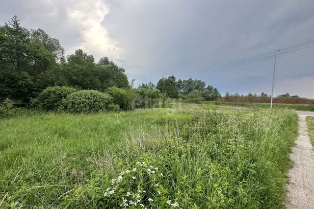 р-н Центральный снт Балтиец пр-д Пионер 77 Калининград городской округ фото