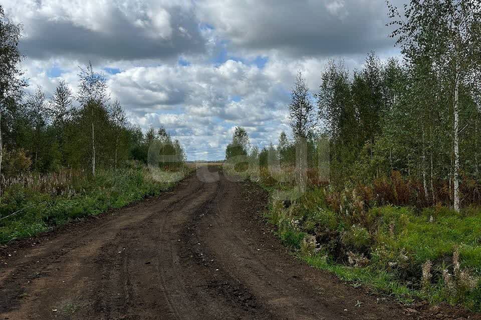 земля р-н Тюменский с Кулига Кулига-2 м-н фото 2