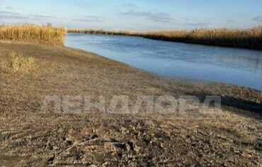 п Веселый ул Элеваторная Весёловское сельское поселение, Веселый фото