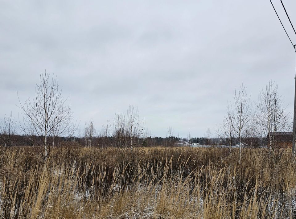 земля городской округ Луховицы п Совхоза Астапово ул. Лукина фото 4