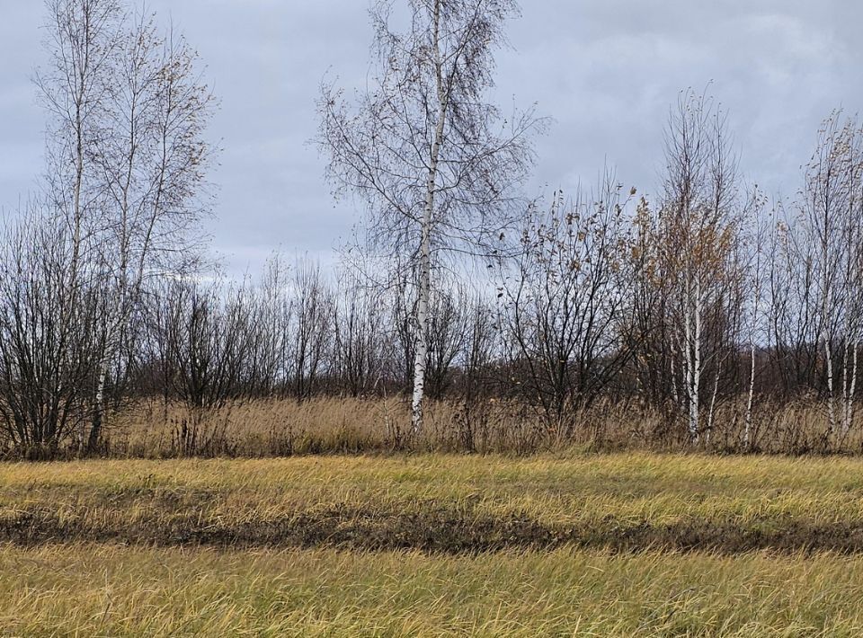 земля городской округ Луховицы д Солчино фото 2