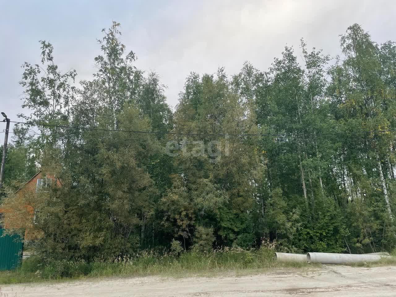 земля г Надым фото 3