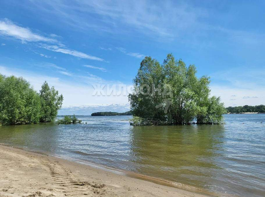 квартира р-н Новосибирский дачный поселок Кудряшовский, Фабричная улица, д. 49А фото 9