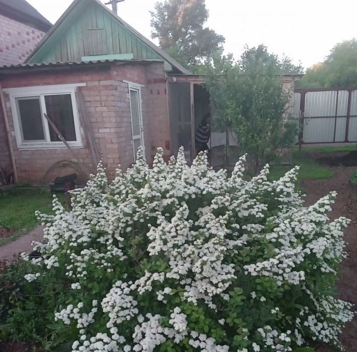 дом р-н Оренбургский х Степановский сельсовет, СНТ, ул. Цветочная, Ленинский фото 8