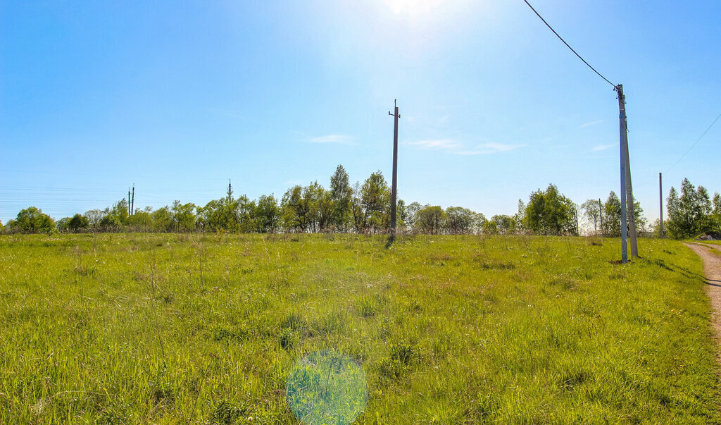 земля р-н Ленинский с Ионино городской округ Тула фото 5