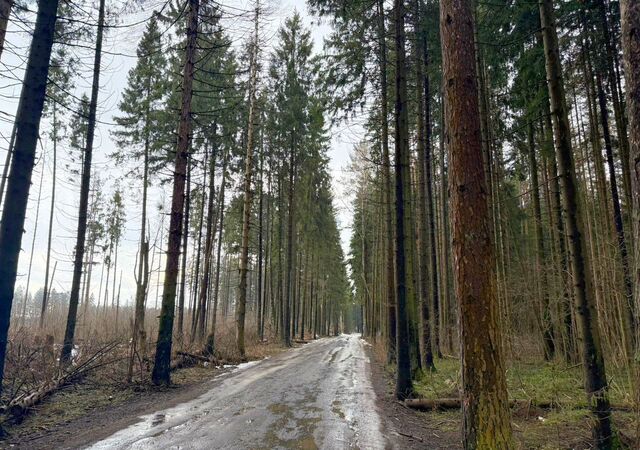 городской округ Чехов д Васькино 50 км, Чехов, Симферопольское шоссе фото