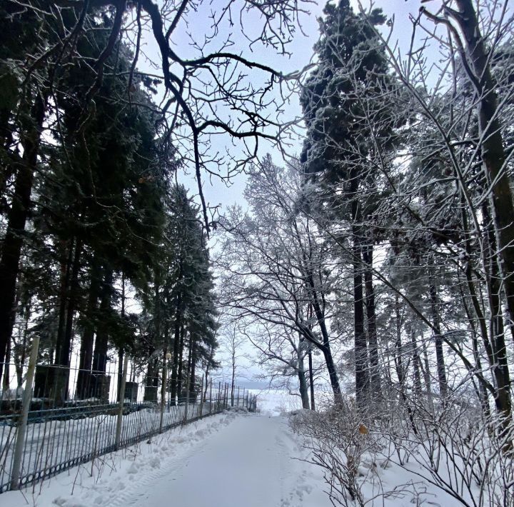 квартира г Зеленогорск Курортный ш Приморское 570л фото 20