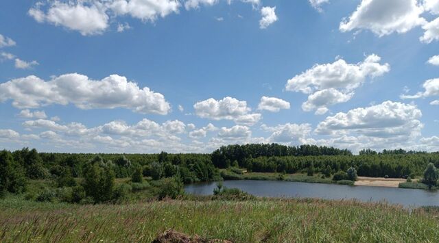 р-н Богородский фото