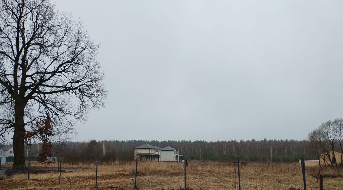 земля городской округ Раменский д Донино ул Центральная Раменское фото 5