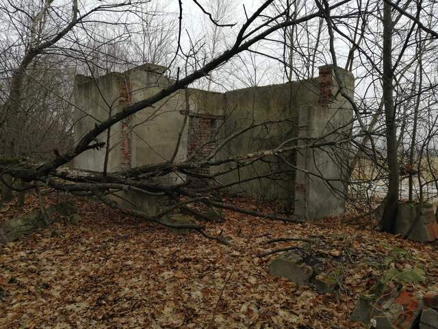 свободного назначения д Руднево д. 33/1 фото