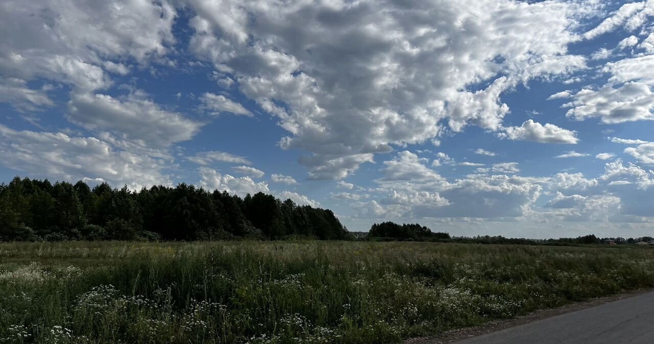 земля р-н Пестречинский с Старое Шигалеево ул Пионерская Республика Татарстан Татарстан, Шигалеевское сельское поселение, Пестрецы фото 6