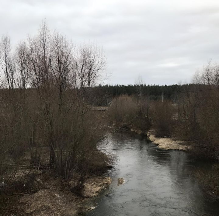 земля г Брянск п Большое Полпино р-н Володарский фото 8