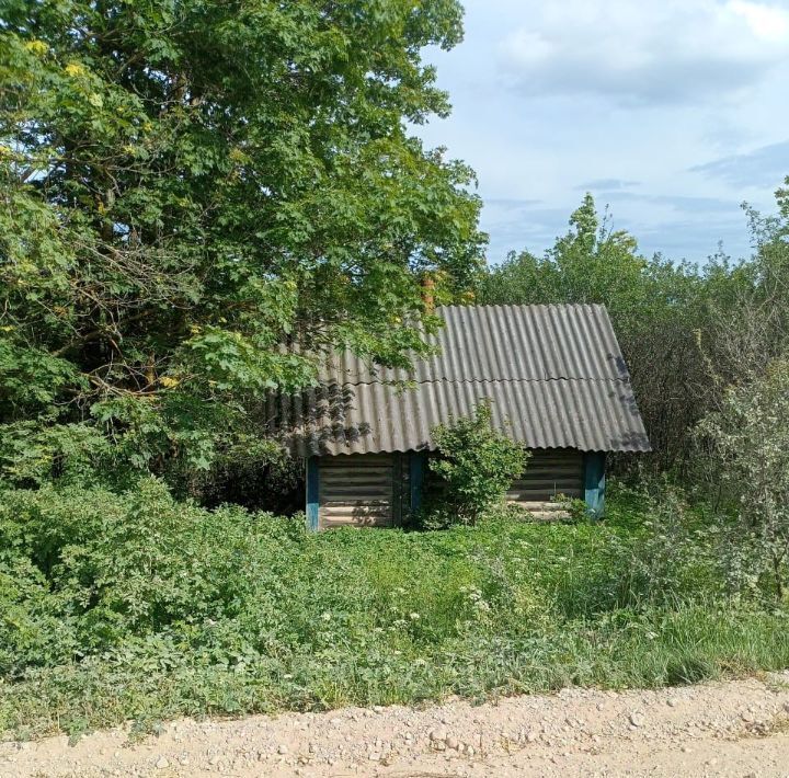 дом р-н Палкинский д Луг (Качановская волость) фото 2