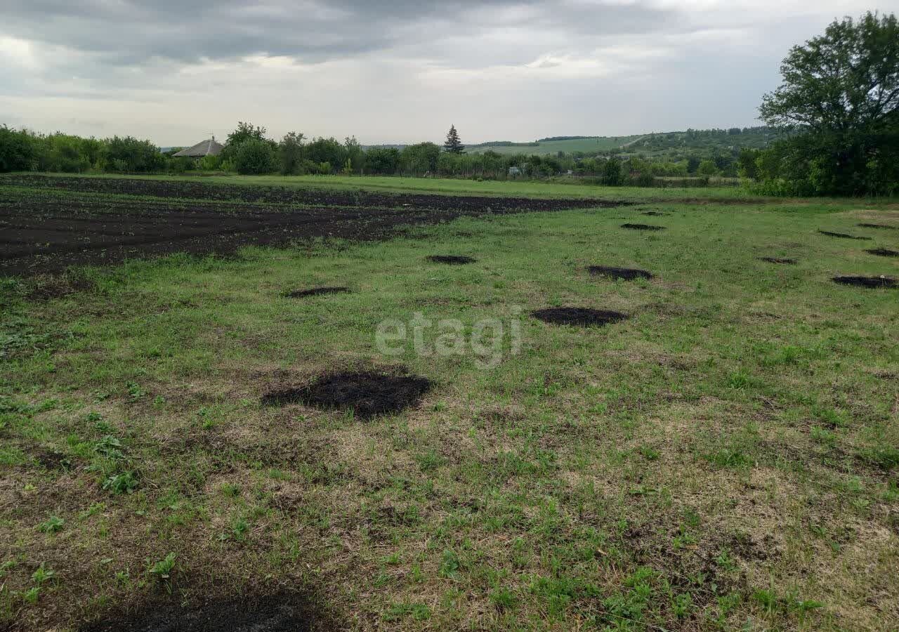 земля р-н Губкинский с Кандаурово Губкин фото 2