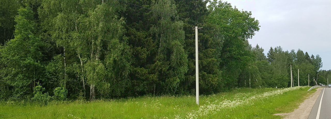 земля городской округ Дмитровский д Хорьяково фото 1