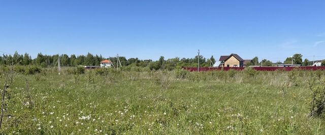 д Сетка Мордвесское муниципальное образование фото